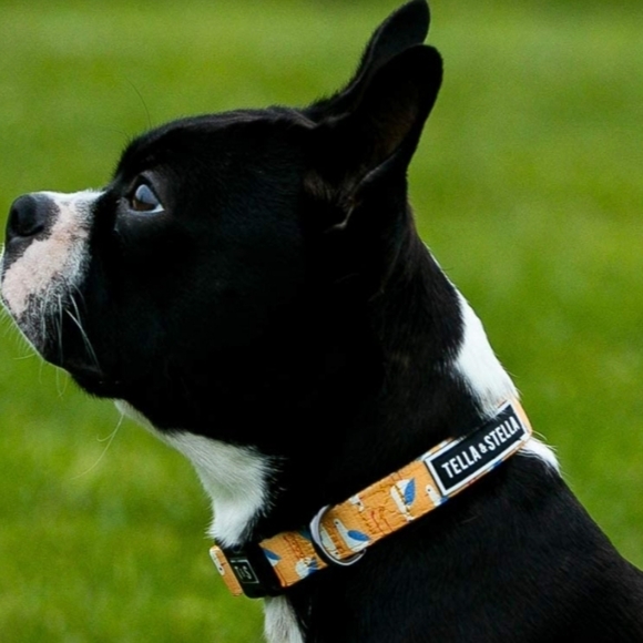 NEW Tella & Stella Soft & Strong Resistant Nylon Dog Collar, Seagull Party sz L - Picture 2 of 7